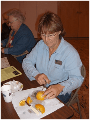 Livestock 101 2008
