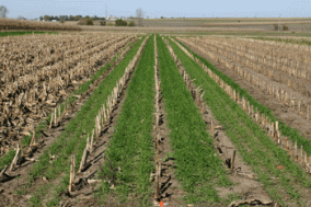 nrcs142p2_004206.gif