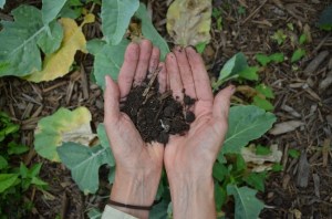 soil in hands